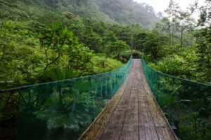 Wood suspension bridge Costa Rican jungle 10 Must Visit Budget Travel Destinations 2021 Chubby Diaries