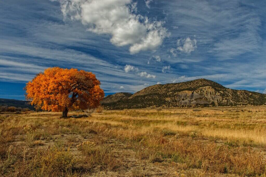 Dennis Buchner Taos, New Mexico 5 Best Fall Vacation Spots