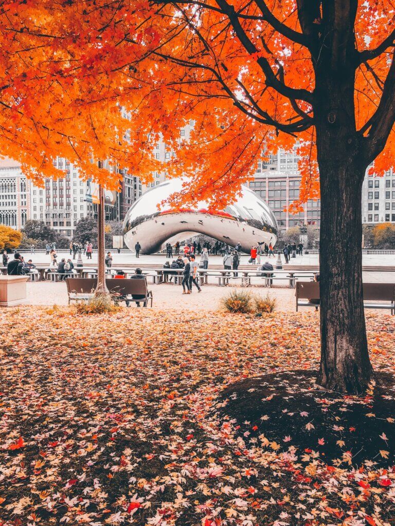 Ozzie Stern Chicago, Illinois 5 Best Fall Vacation Spots Chubby Diaries
