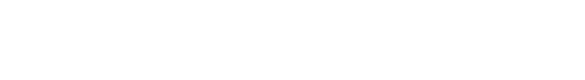 Chubby Diaries Logo